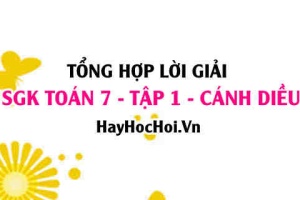 Giải Bài tập Toán 7 tập 1 SGK Cánh Diều